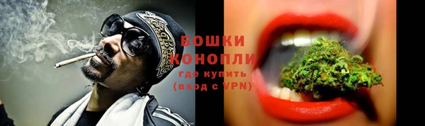 крисы Заводоуковск