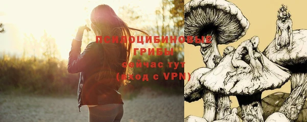 крисы Заводоуковск