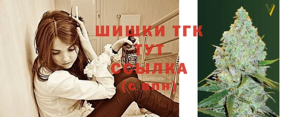 крисы Заводоуковск